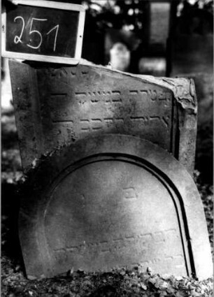 Grabstein 251 (Index: 100112110) Material: Sandstein Zustand: zerbrochen mit Textverlust Maße HxBxT: 100x60x12 cm Beschreibung: Stele, Rundbogenabschluß, Schriftfeld eingetieft: Grabstein 251