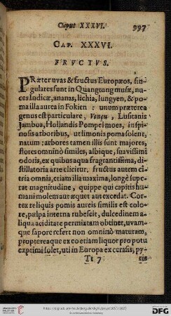 Caput XXXVI: Fructus