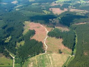 Langewiesen : Windbruch