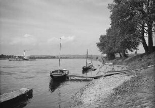 Dresden. Elbe bei Kaditz, Blick flussabwärts
