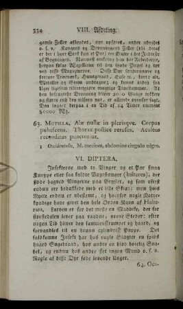 VI. Diptera