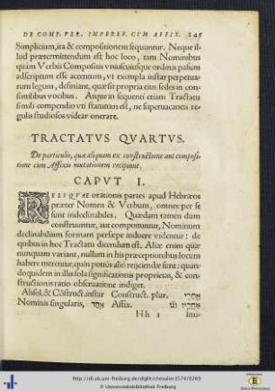 Tractatus IV. De Particulis.