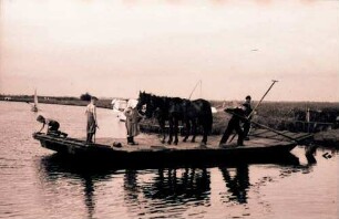 Worpswede: Mit Pferd auf Fähre der Hamme