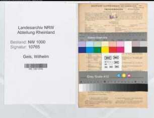 Entnazifizierung Wilhelm Geis, geb. 13.06.1900 (Ingenieur)