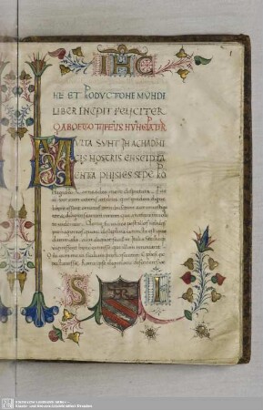 Fol. 1 ff. De creatione et productione mundi liber