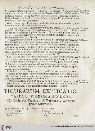 Figurarum explicatio: Tabula vigesima-secunda