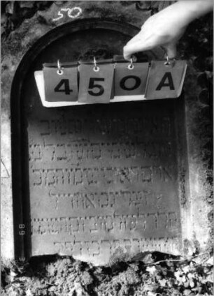 Grabstein 450 (Index: 99791779) Material: Sandstein Zustand: gut, Stele liegend, unterer Teil der Stele fehlt Maße HxBxT: 69x57x11 cm Beschreibung: Stele, Rundbogenabschluß, Schriftfeld eingetieft Symbolik: Blüte: Grabstein 450A