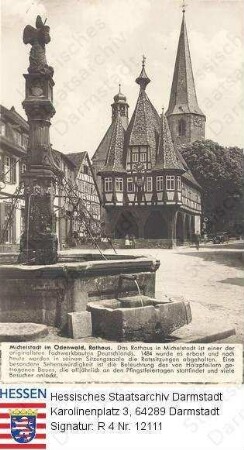 Michelstadt im Odenwald, Rathaus und Brunnen / Außenansicht mit Kurzbeschreibung