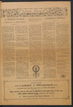 La presencia de ánimo a orillas de la selva virgen