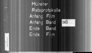 Ratsprotokolle des Jahres 1733