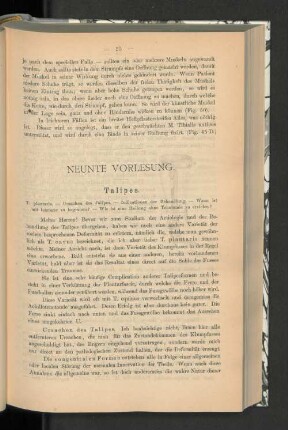 Neunte Vorlesung.