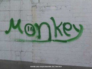 Monkey