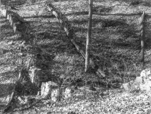 Radebeul, Graue-Presse-Weg
