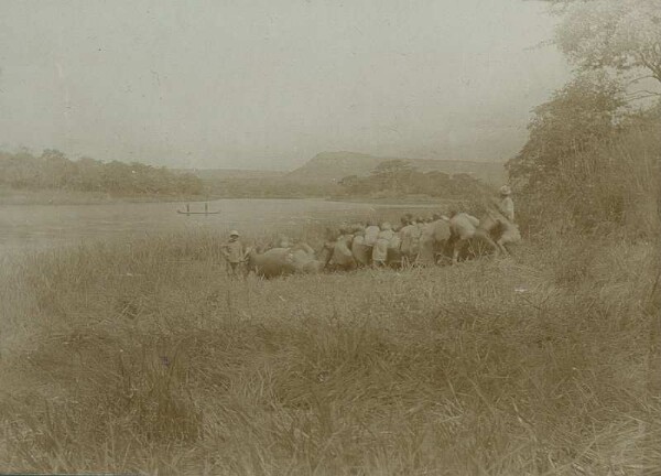 hippopotame abattu sur la rivière Igona (Sindi).