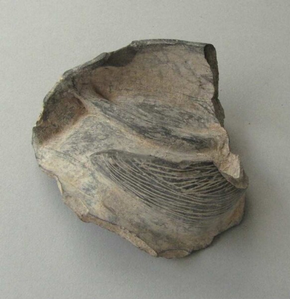 Clay shard