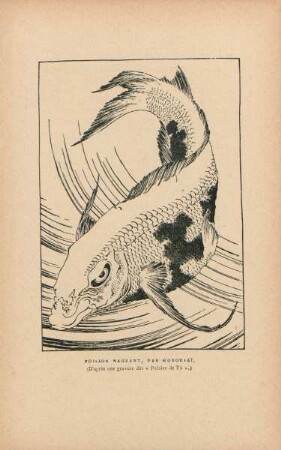 Poisson nageant, par Hokousai. (D'après une gravure des "Poésies de Tô")