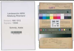 Entnazifizierung Adele Schmitz , geb. 24.02.1901 (Kauffrau)