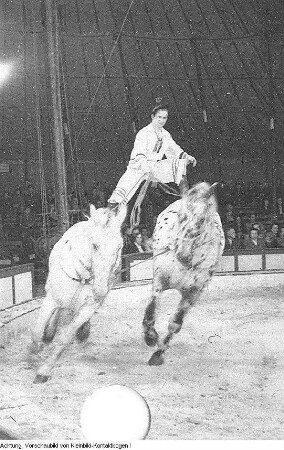Dresden, Gastspiel des Zirkus Busch, April 1952