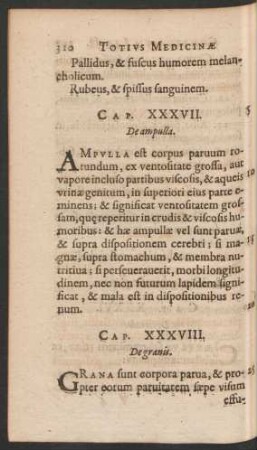 Cap. XXXVIII. De granis.