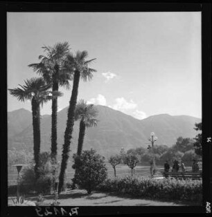 Die Seepromenade in Locarno