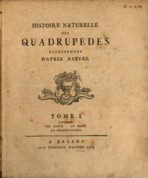 Histoire Naturelle Des Quadrupedes Representes D'Apres Nature, 1. L' Homme. Le Singe. Le Maki. La Chauve-Souris