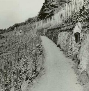 Neef/Mosel, Weg durch die Weinberge zum Friedhof mit Kreuzwegstationen?
