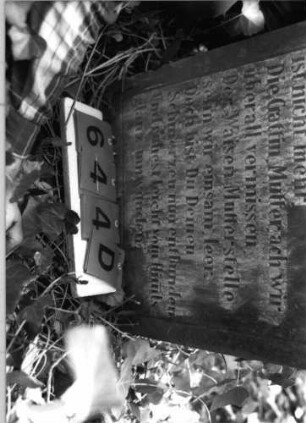 Grabstein 644 (Index: 99788939) Material: Sandstein und Marmor Zustand: gut, Texttafel zerbrochen und repariert Maße HxBxT: 116x64x21 cm Symbolik: florale Motive: Grabstein 644D