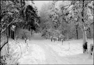 Marienwerder, Klosterwald