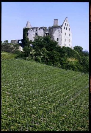 Burkheim: Schwendi-Schlossruine