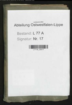 Umschreibung und Revision der Hypothekenbücher im Amt Detmold
