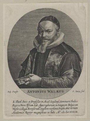 Bildnis des Antonius Walaeus