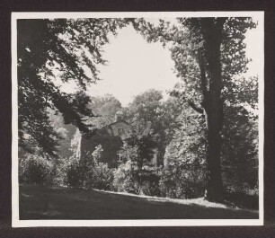 Palaisgarten. Detmold. Neustadt. Papierabzug