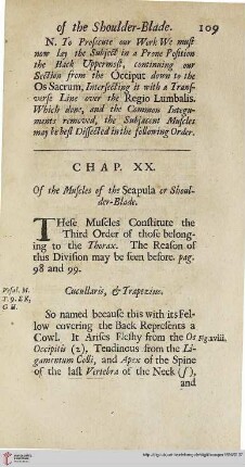 Chap. XX: Of the Muscles of the Scapula or Shoulder-Blade