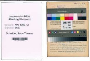 Entnazifizierung Anna Therese Schreiber, geb. 04.01.1909 (Verwalterin)