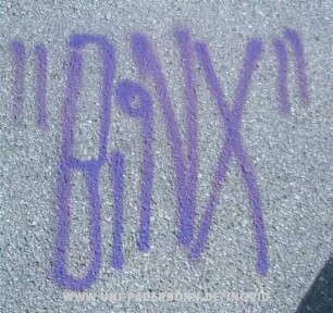 "BiNX"