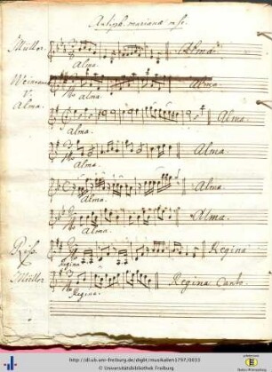 Antiph. marianae msc.