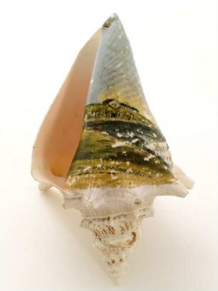 Reiseandenken (Souvenir, Schneckengehäuse)