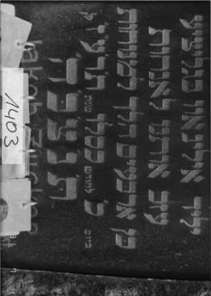 Grabstein 1403 [Hahn S. 233 Grab-Nr. 1962]: Grabstein 1403 (Detailaufnahme 2) [Hahn S. 233 Grab-Nr. 1962]