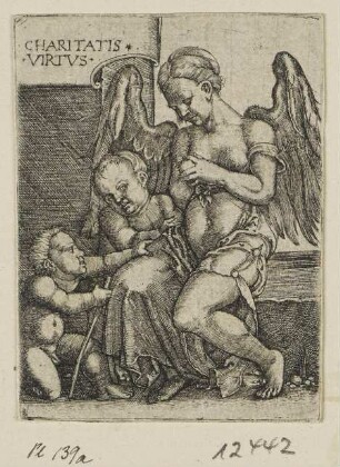 Charitatis virtus