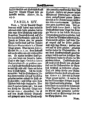 Tabula XIV.