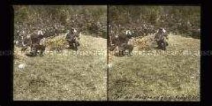 Infanterie am Walderand zum Feuern bereit