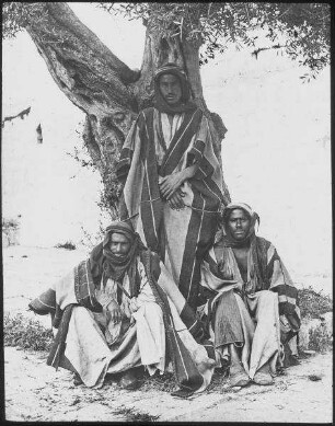Bedouins The Holy Land