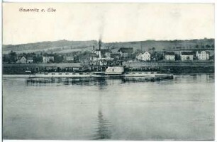 Gauernitz. Elbhäuser - Elbe mit Dampfer "Bodenbach"