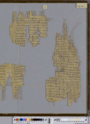 Canticum Canticorum 4,4-5,3