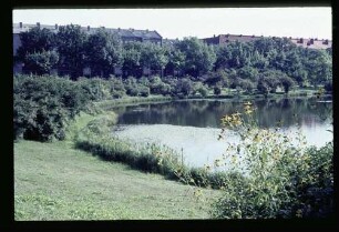 Botan. Garten 23.8.64.