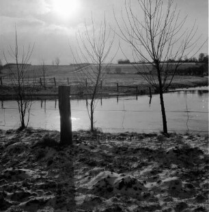 Trave: vorn Zaun mit Zaunpfahl und drei kleine Bäume: im Hintergrund Wiesen und Zäune: Winter: Winter