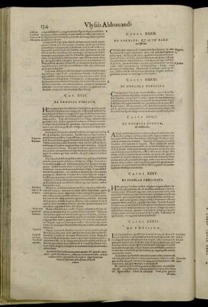 Caput XXXVI. De Umbilico.