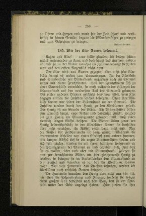 185. Wie der Klee Samen bekommt.
