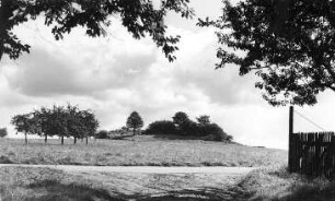 Obercunnersdorf. Ehem. Bergmühle, Blick zum Windmühlenberg