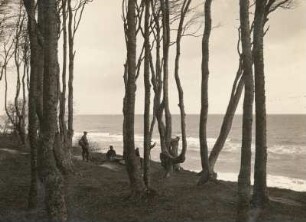Mecklenburg-Schwerin. Steilufer bei Heiligendamm, Frühjahr 1927